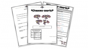 evaluation-conjugaison