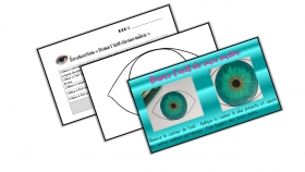 evaluation-conjugaison