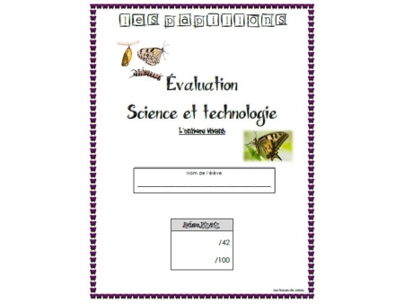 evaluation-conjugaison