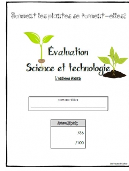 evaluation-conjugaison