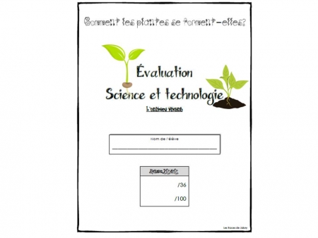 evaluation-conjugaison