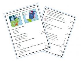 evaluation-conjugaison
